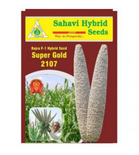 PearlMillet / Bajra Super Gold-2107 1.5 Kg